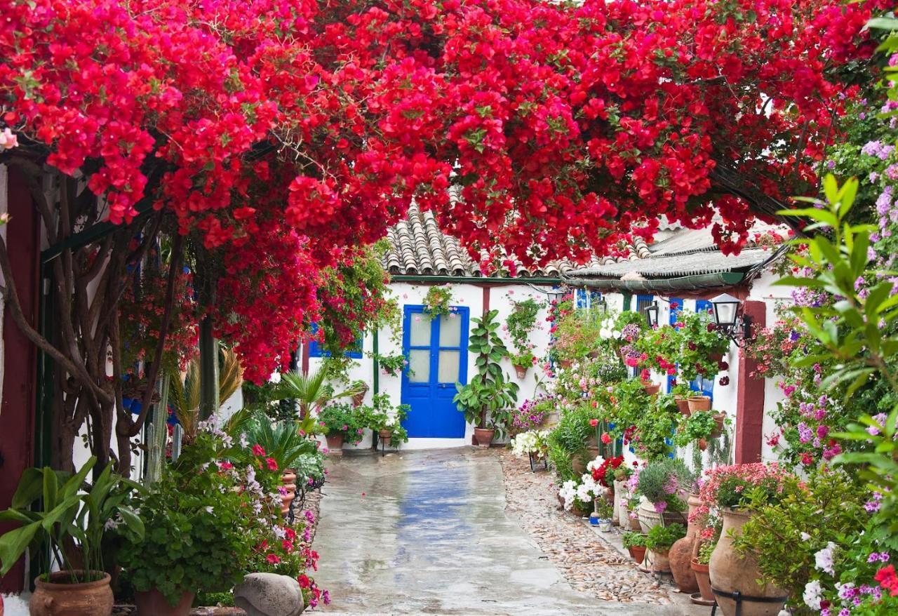 Ferienwohnung Casa Turistica San Agustin Córdoba Exterior foto